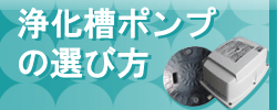 浄化槽ポンプの選び方