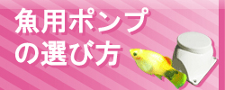 魚用ポンプの選び方