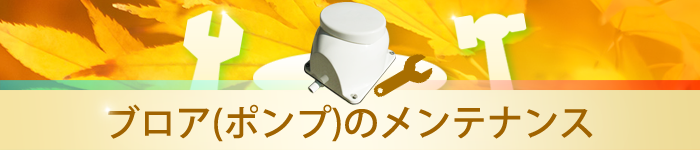 エアーポンプのメンテナンス